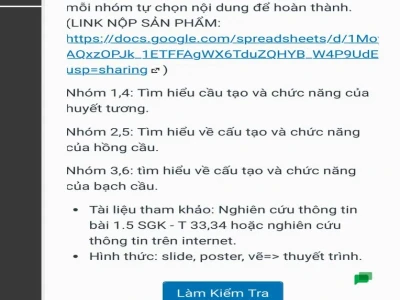 LMS Vinschool: Hướng dẫn đăng nhập và trải nghiệm học tập toàn diện
