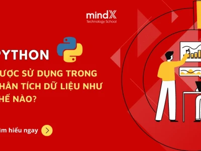 Phân tích dữ liệu với Python: Khóa học và Thư viện cốt lõi