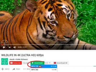 SaveFrom: Hướng dẫn tải video miễn phí và an toàn 2026