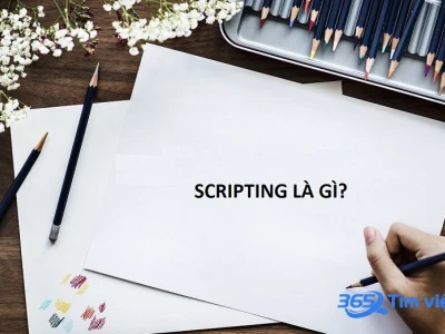 Script là gì? Khám phá vai trò và ứng dụng đa dạng trong công nghệ