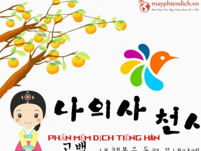 Tổng hợp các ứng dụng dịch tiếng Hàn sang tiếng Việt hiệu quả nhất 2026