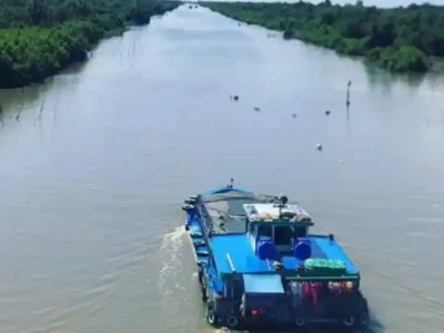 Xổ số Long An (XSLA) - Cập nhật kết quả trực tiếp Thứ 7 hàng tuần